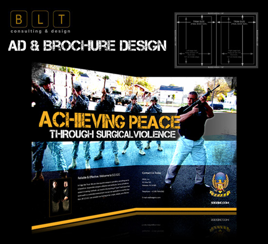 Ads & Brochure Design